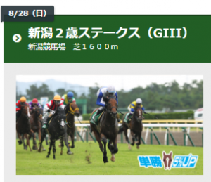 第37回 新潟２歳S（GIII）